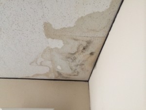 雨漏りのある天井 